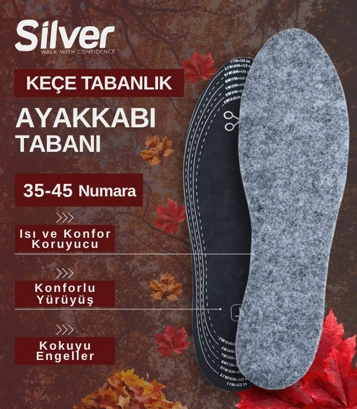 silver-tabanlik-k2-main